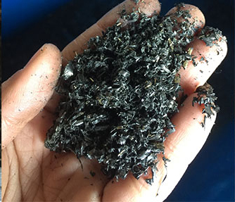 Iron after magnetic sorting