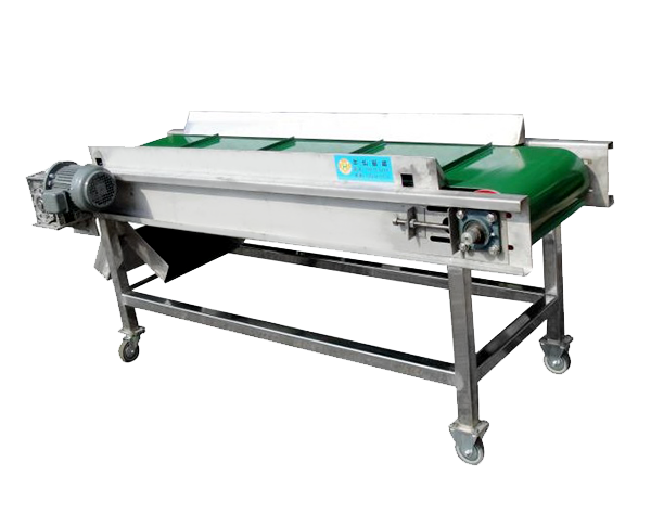 BELT CONVEYOR MAGNETIC SEPARATOR